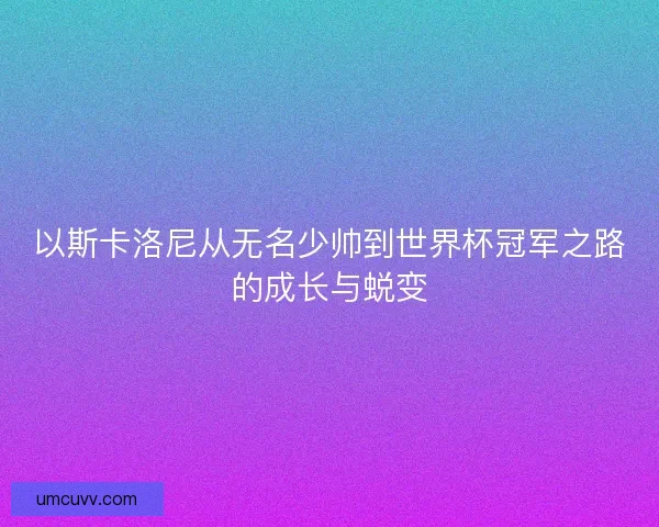 以斯卡洛尼从无名少帅到世界杯冠军之路的成长与蜕变