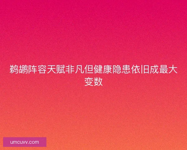 鹈鹕阵容天赋非凡但健康隐患依旧成最大变数